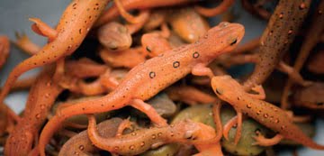 [securedownload.jpeg]