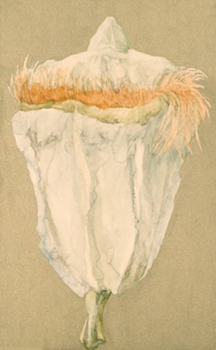 [securedownload-1.jpeg]