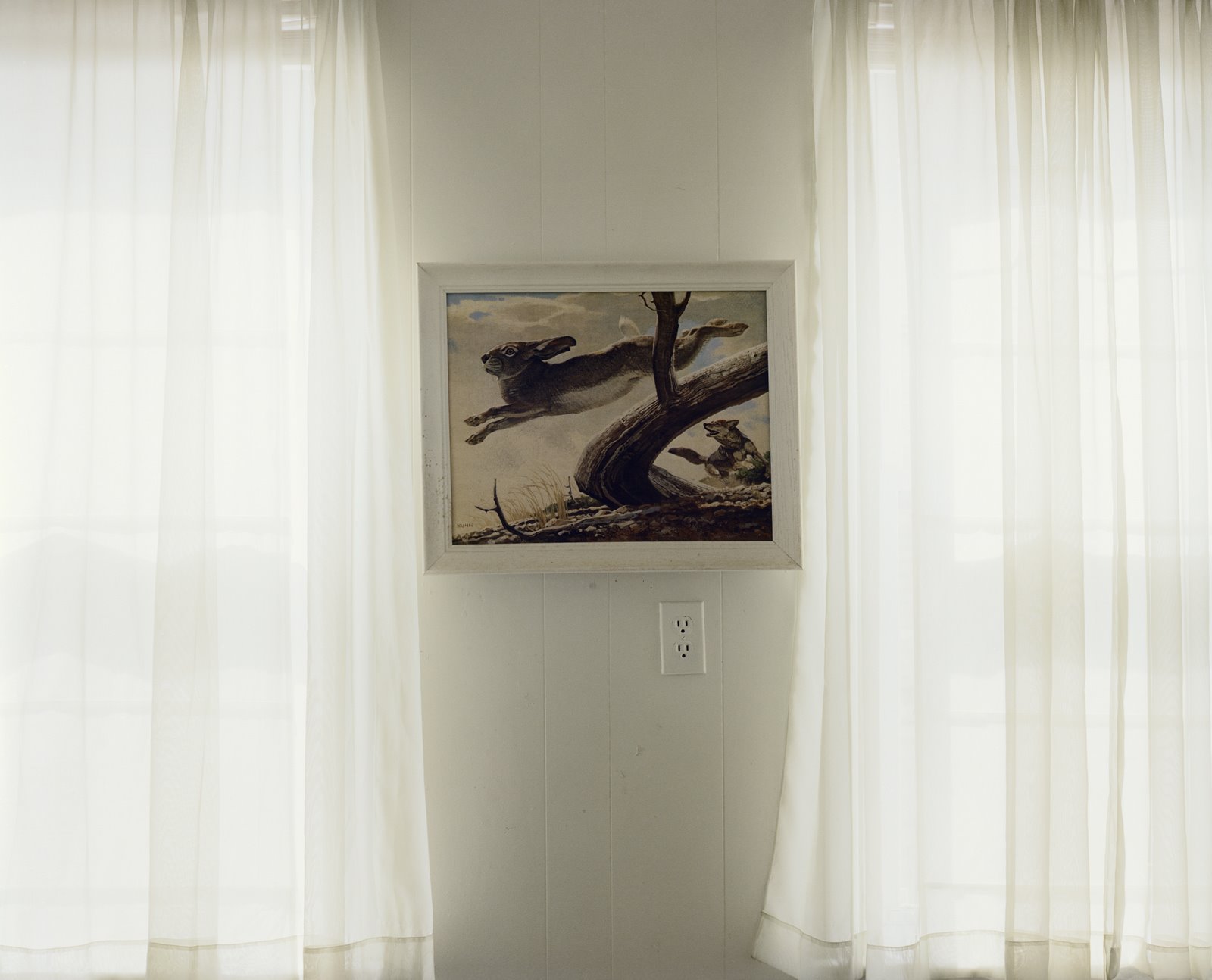 [Liz+Donadio_Hare+Painting.jpg]