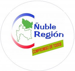 Apoyando Ñuble Región