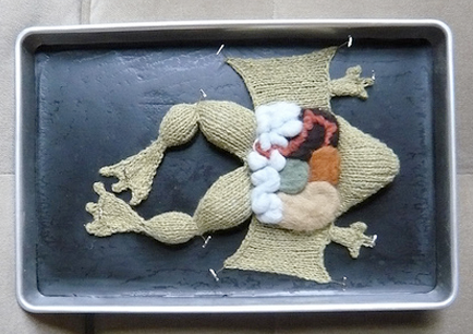 knitted science, end animal dissection
