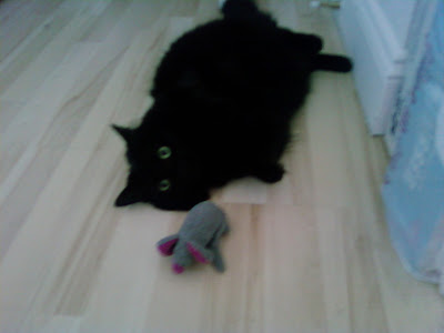 sex attraction en streaming