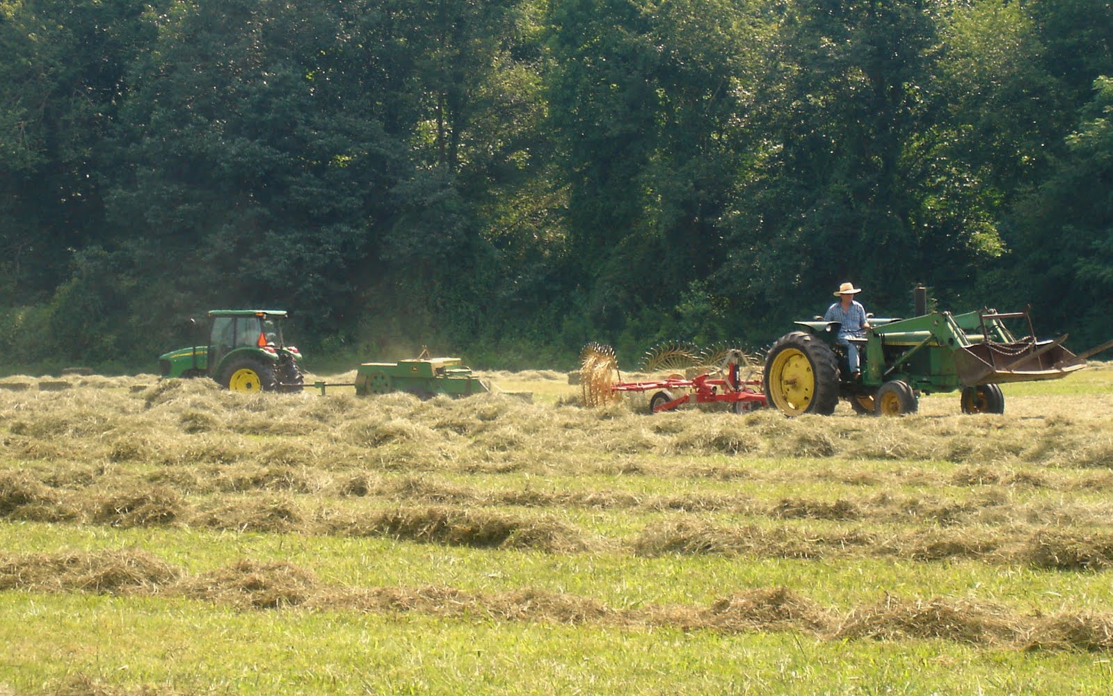 Mowing Hay