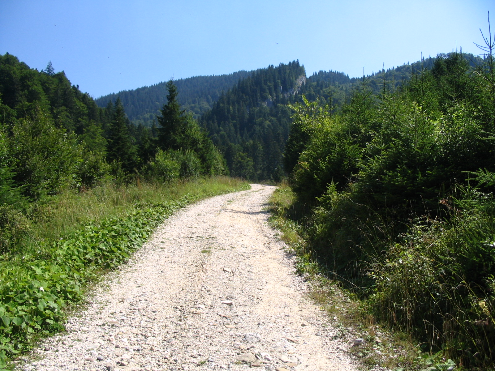 [IMG_2134.JPG]