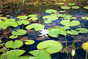 Disfrutá de la Naturaleza...