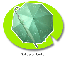 [sakae+umbrella.gif]