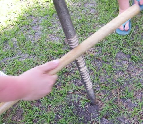 Stick Worm