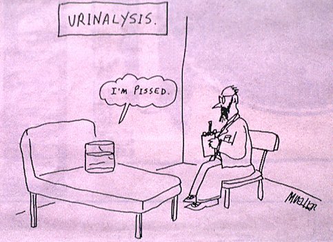 [urinalysis.jpg]