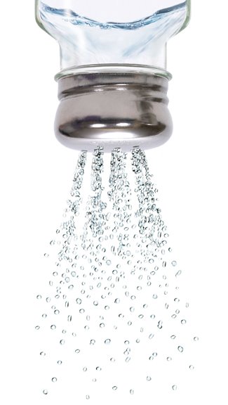 [salt_shaker_photo.jpg]