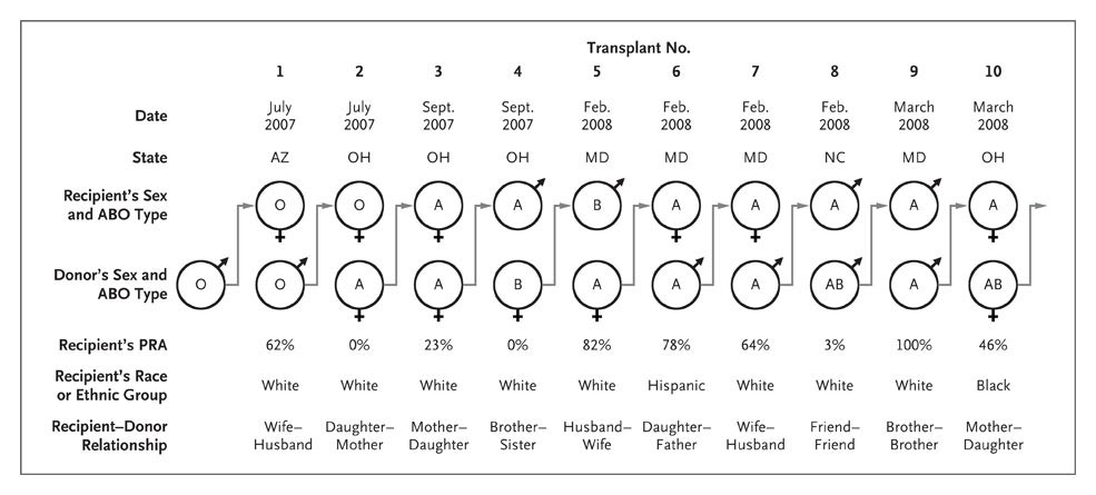 [transplantchain.jpeg]