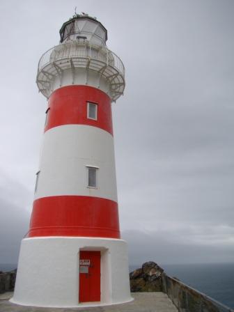 [DSC00601.JPG]
