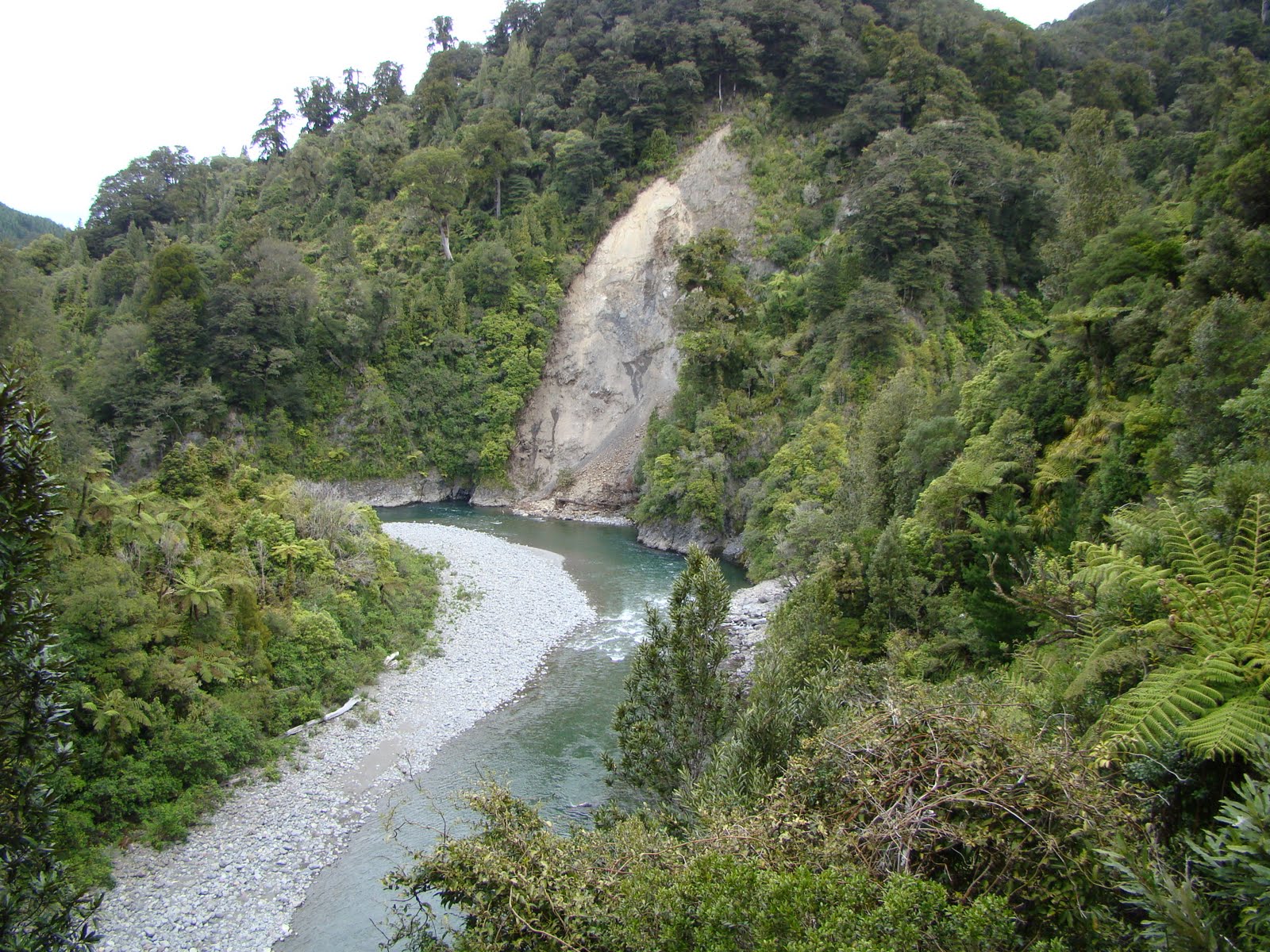 [DSC00595.JPG]