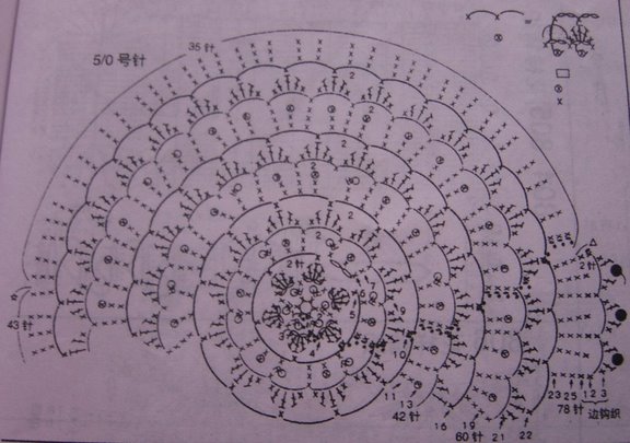 [flor.jpg]