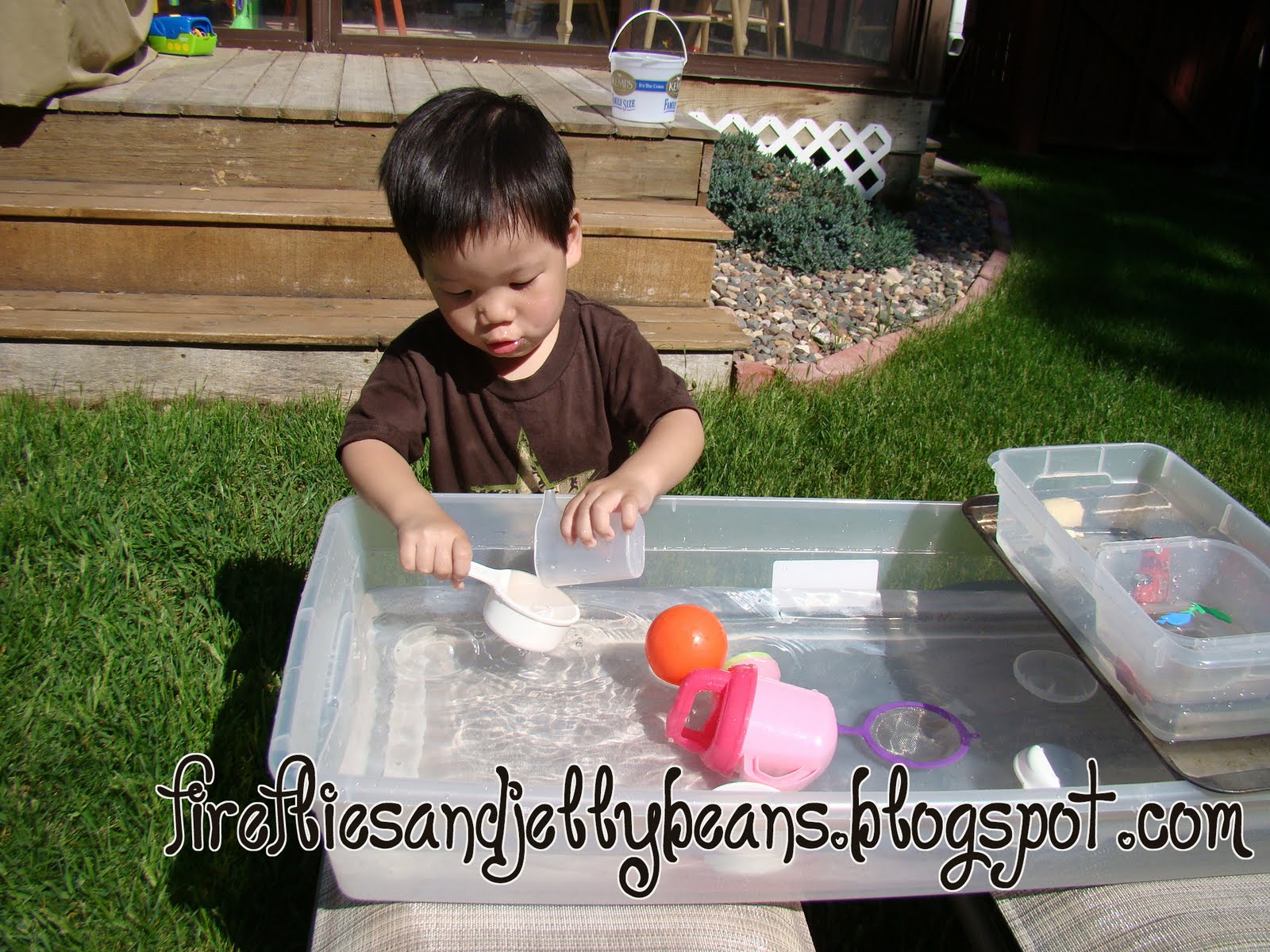 Fireflies and Jellybeans Make Your Own Water Table!