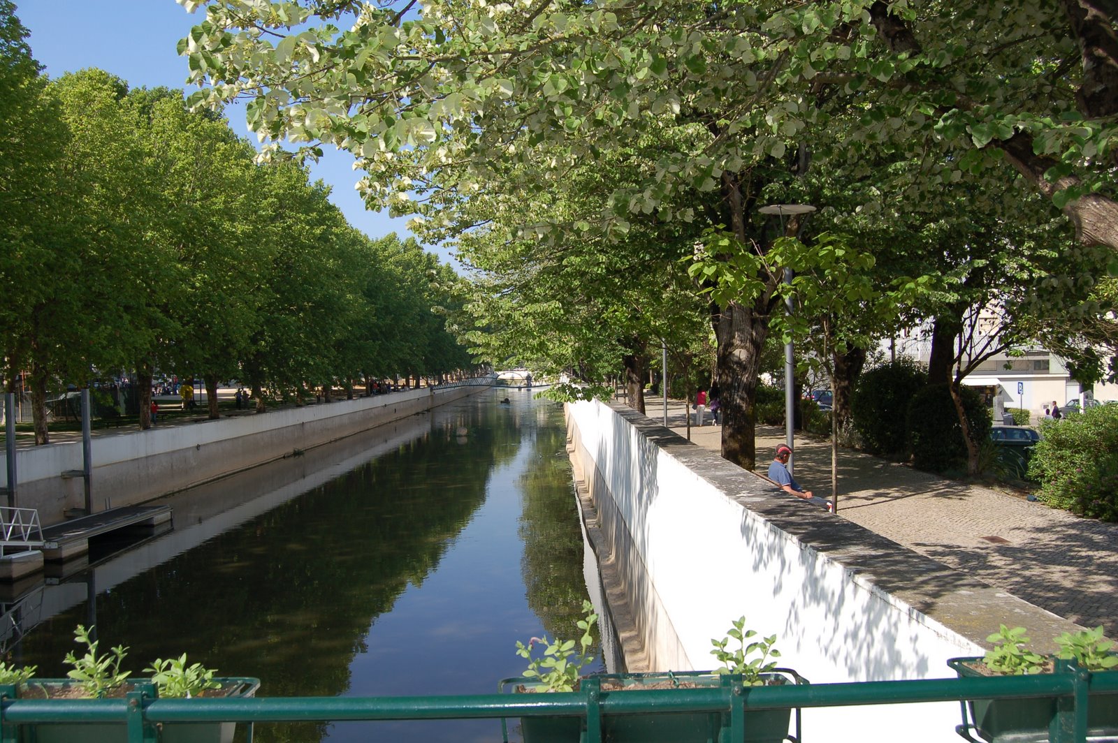 [DSC_0066.JPG]