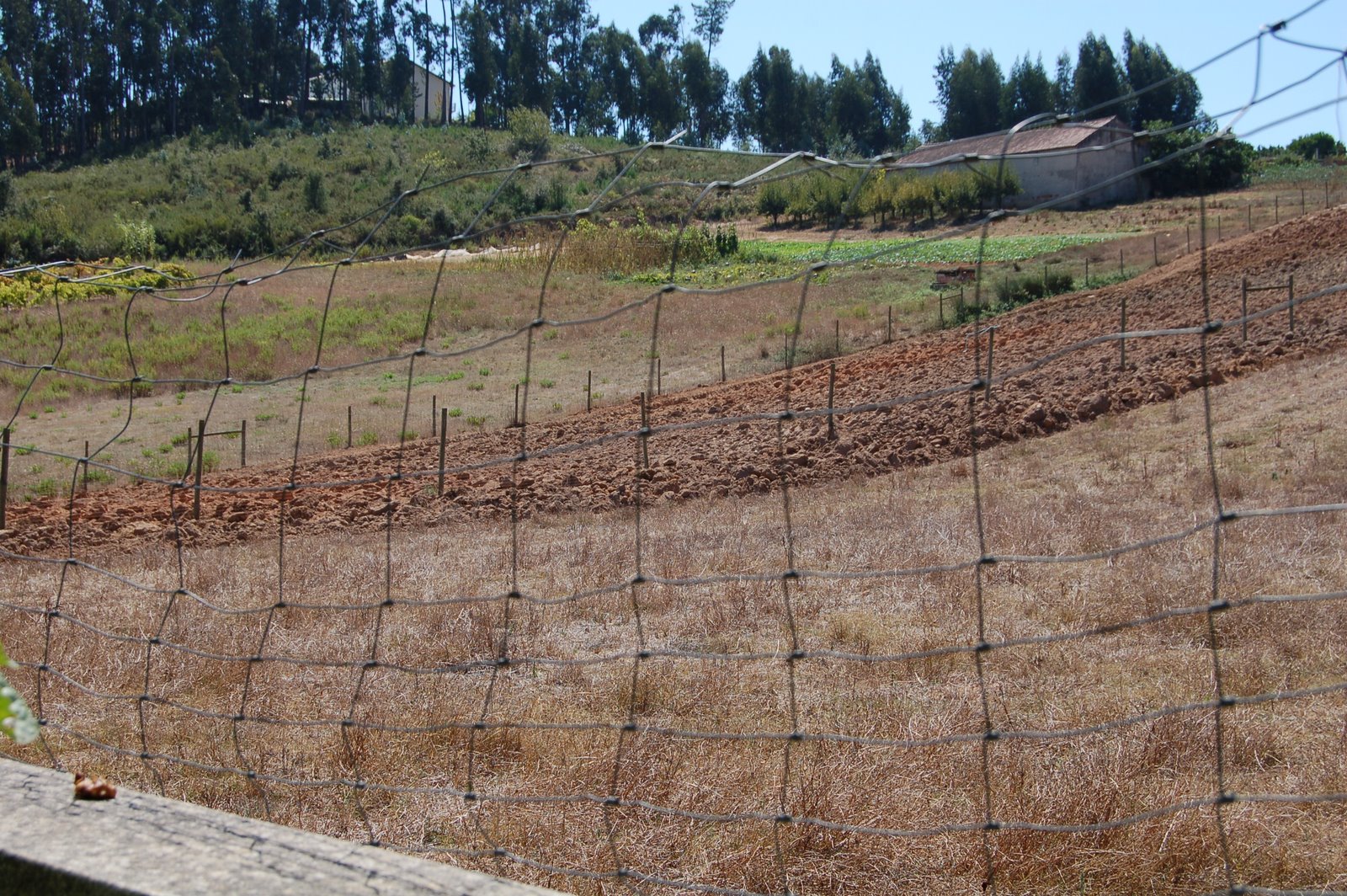 [DSC_0196.JPG]