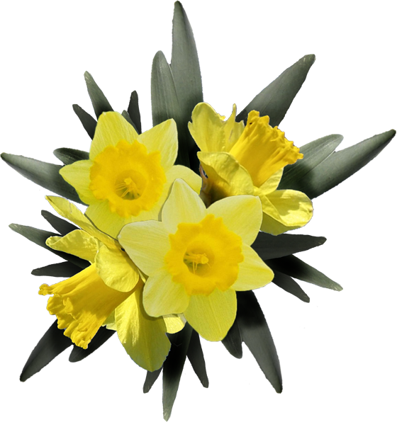 [sf_easter_essentials_icon_daffodil_bouquet.png]