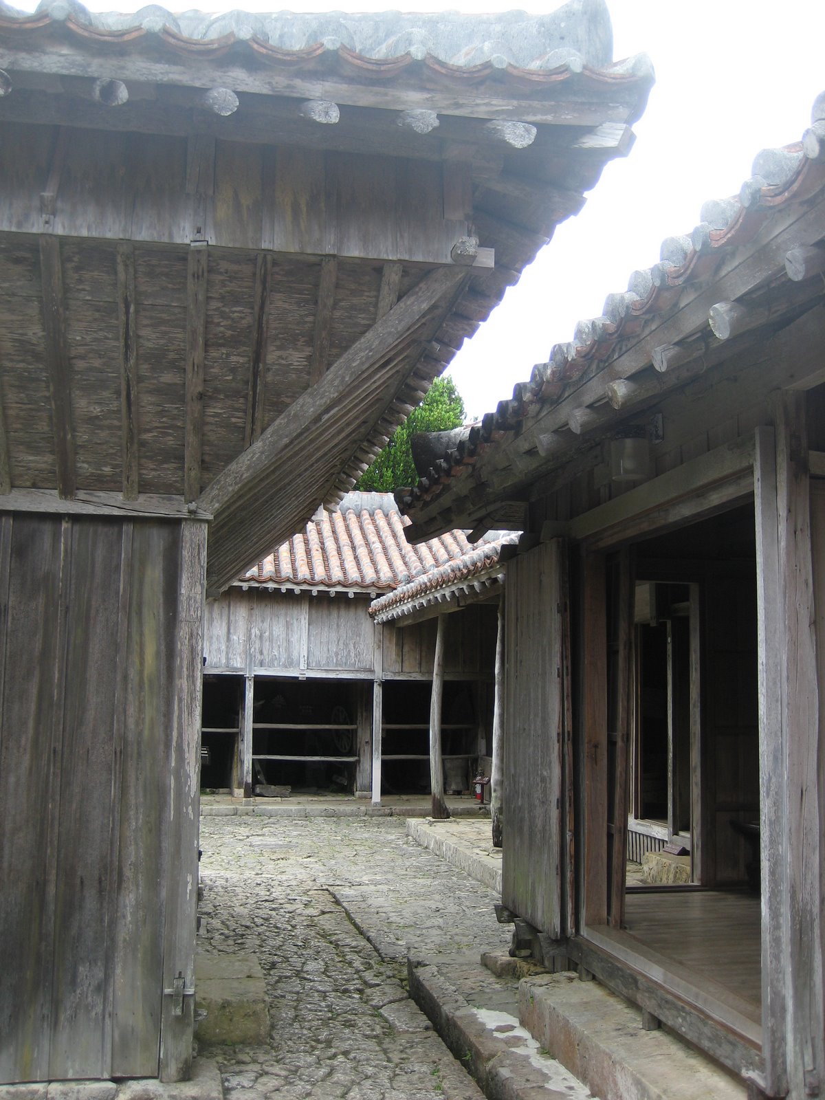 [IMG_1480.JPG]