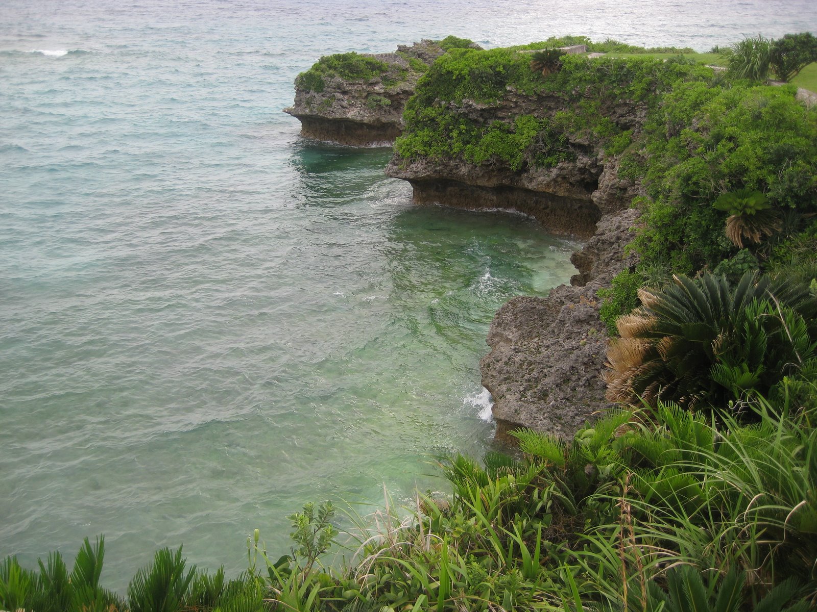[IMG_1518.JPG]
