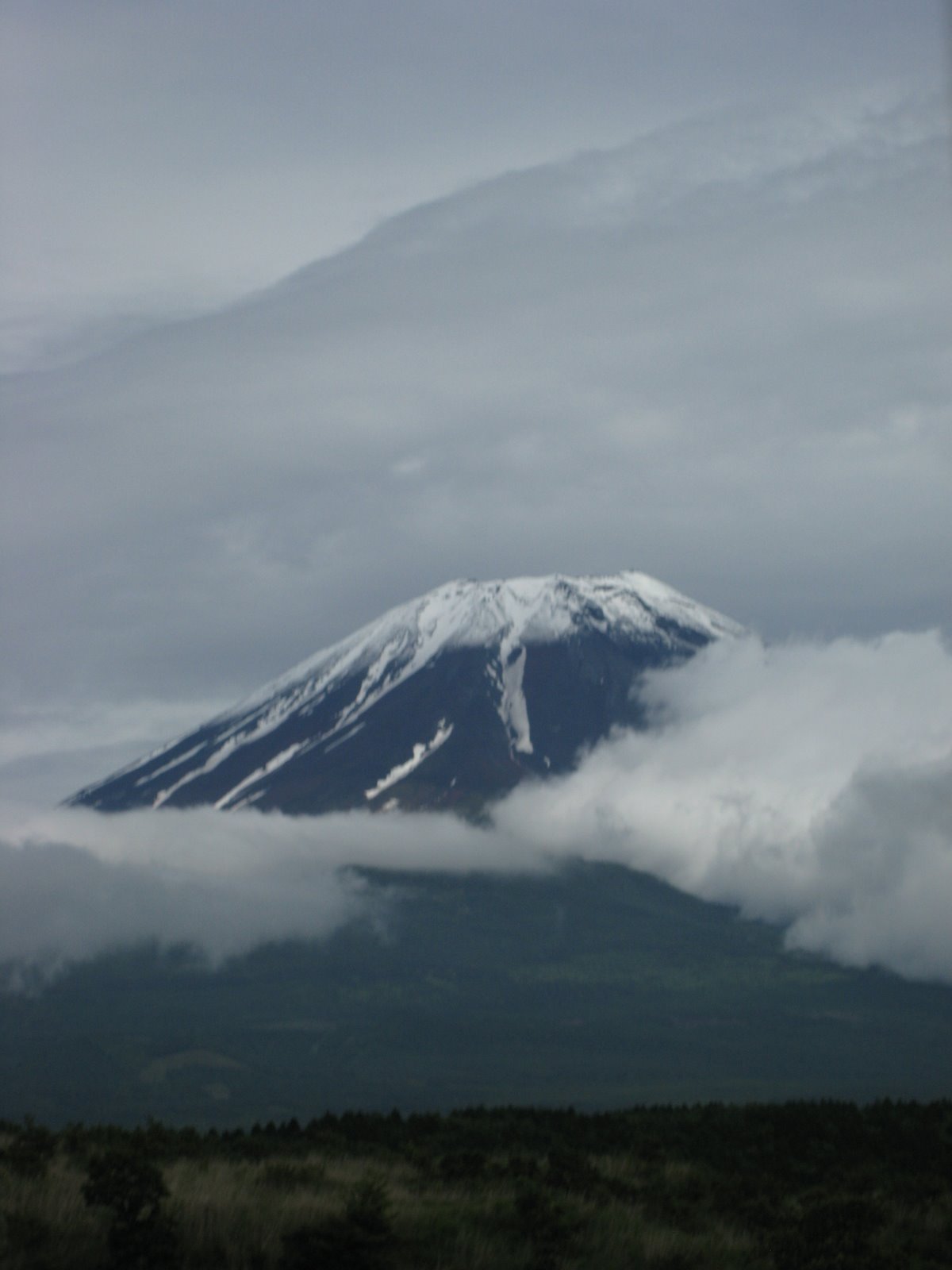 [IMG_2207.JPG]