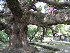 Rheannon climbs a bit higher.