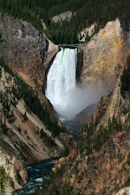 Yellowstone Section One