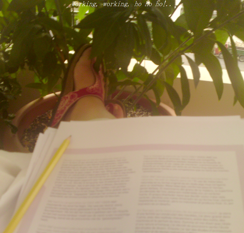 [working+in+the+balcony.png]