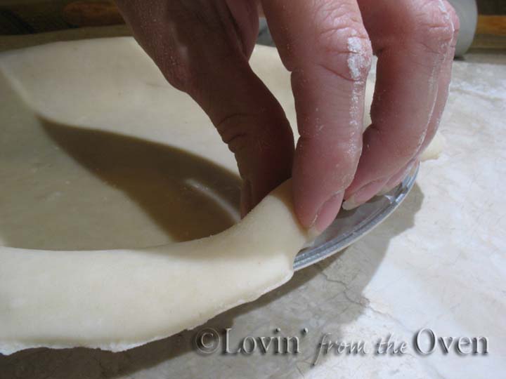 Frieda Loves Bread Perfect Single Pie Crust 101