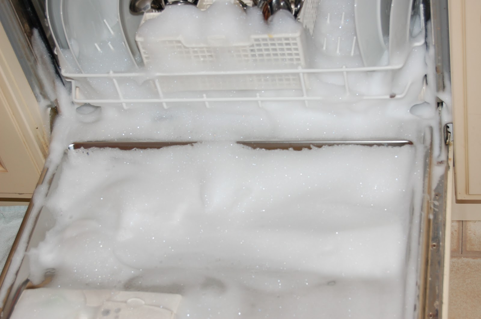 Homeschool on the Croft To Heed or Not to Heed