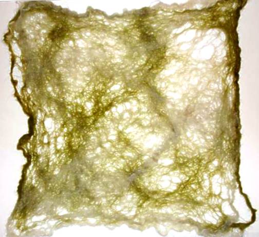 [Felting+004+(Small).jpg]