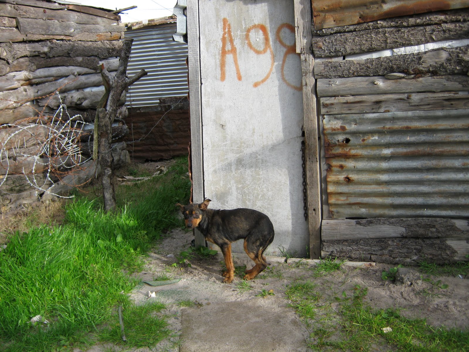 Deb's Adventure to Cape Town, South Africa Good Hope Farms