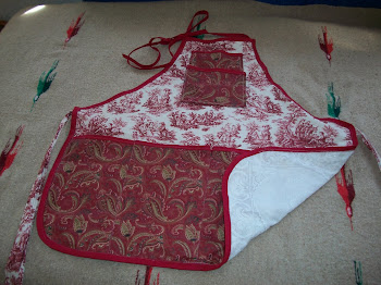 Vinyl lined apron