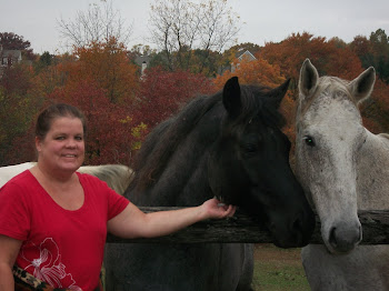Horses and me