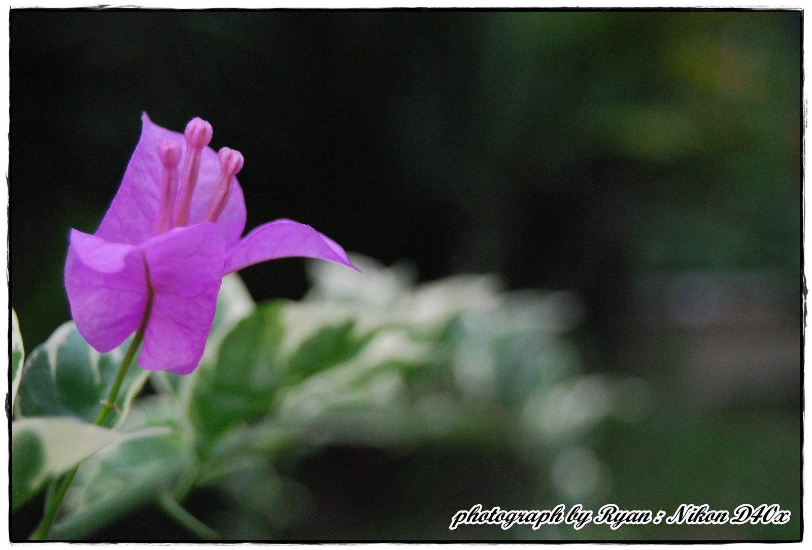 [DSC_0263.JPG]