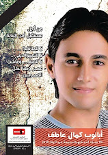 لا لمحاولة تقسيم مصر الى مسلم ومسيحى