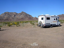 Mojave Preserve