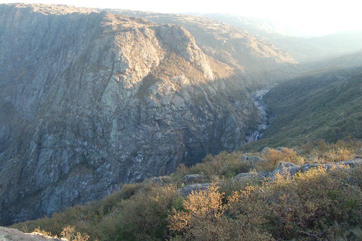 [0806AntreseWoood01.jpg]