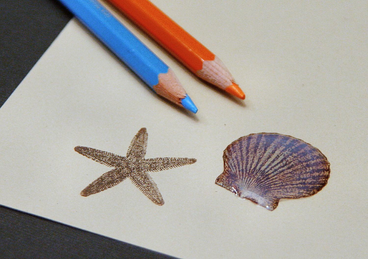 The BoBunny Blog Liquid Embossing with Bo Bunny AND a Layout Sketch...