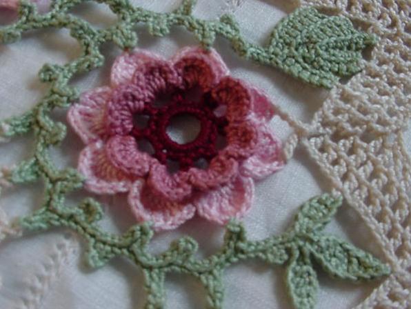 [springroseduscbh8.jpg]