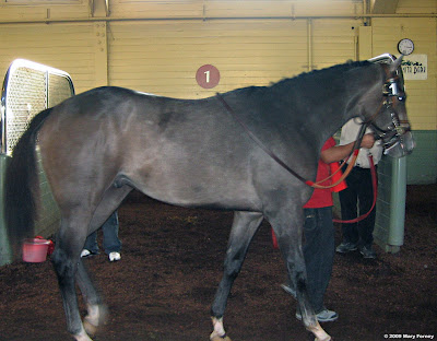 emilia gay italy reggio