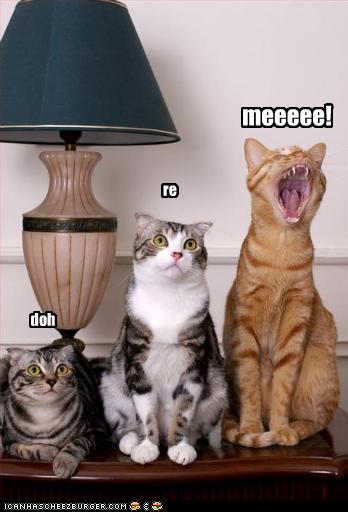 funny-pictures-cats-sing-musical-notes.j