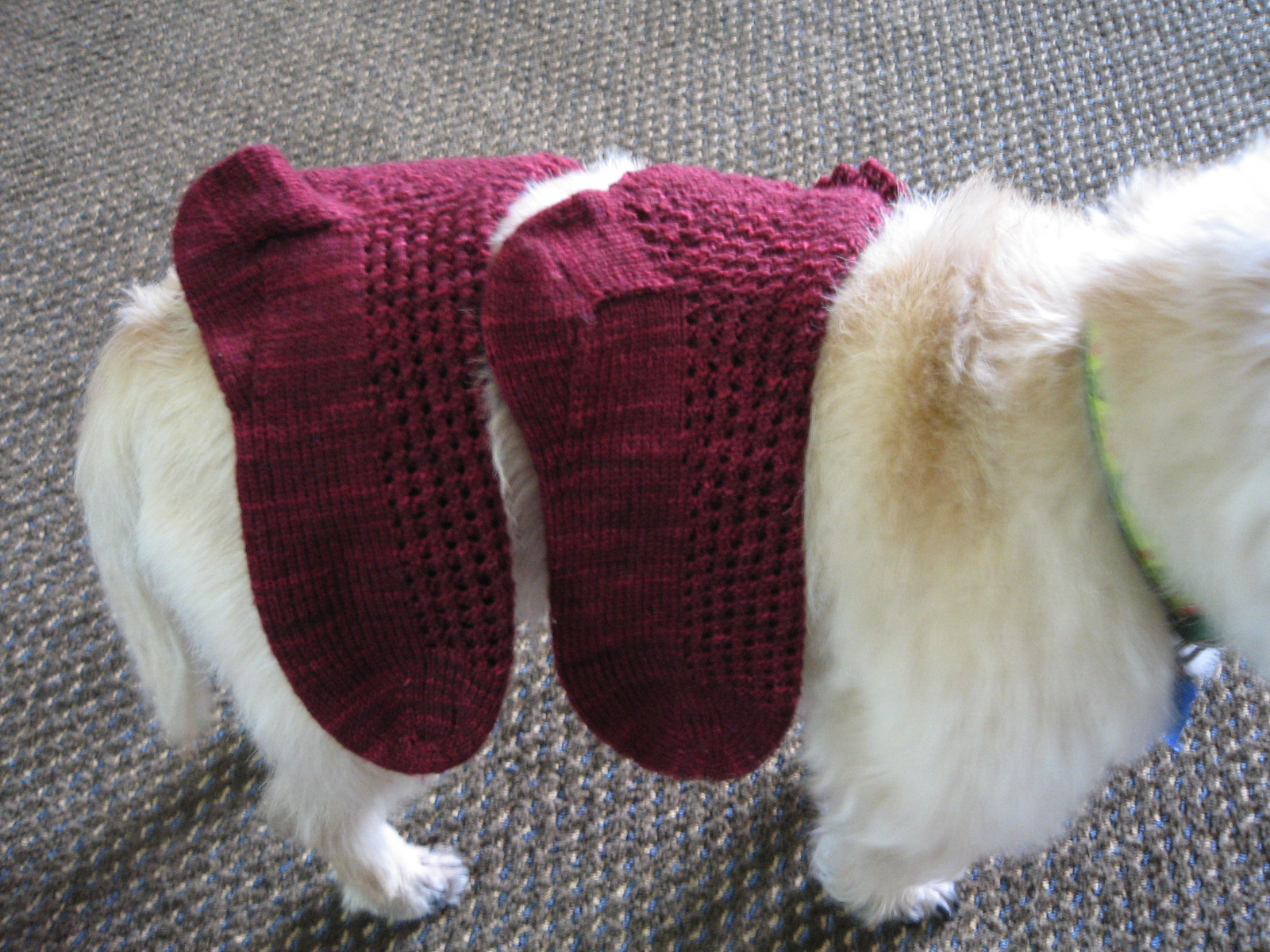 [finished+riverbed+socks.JPG]