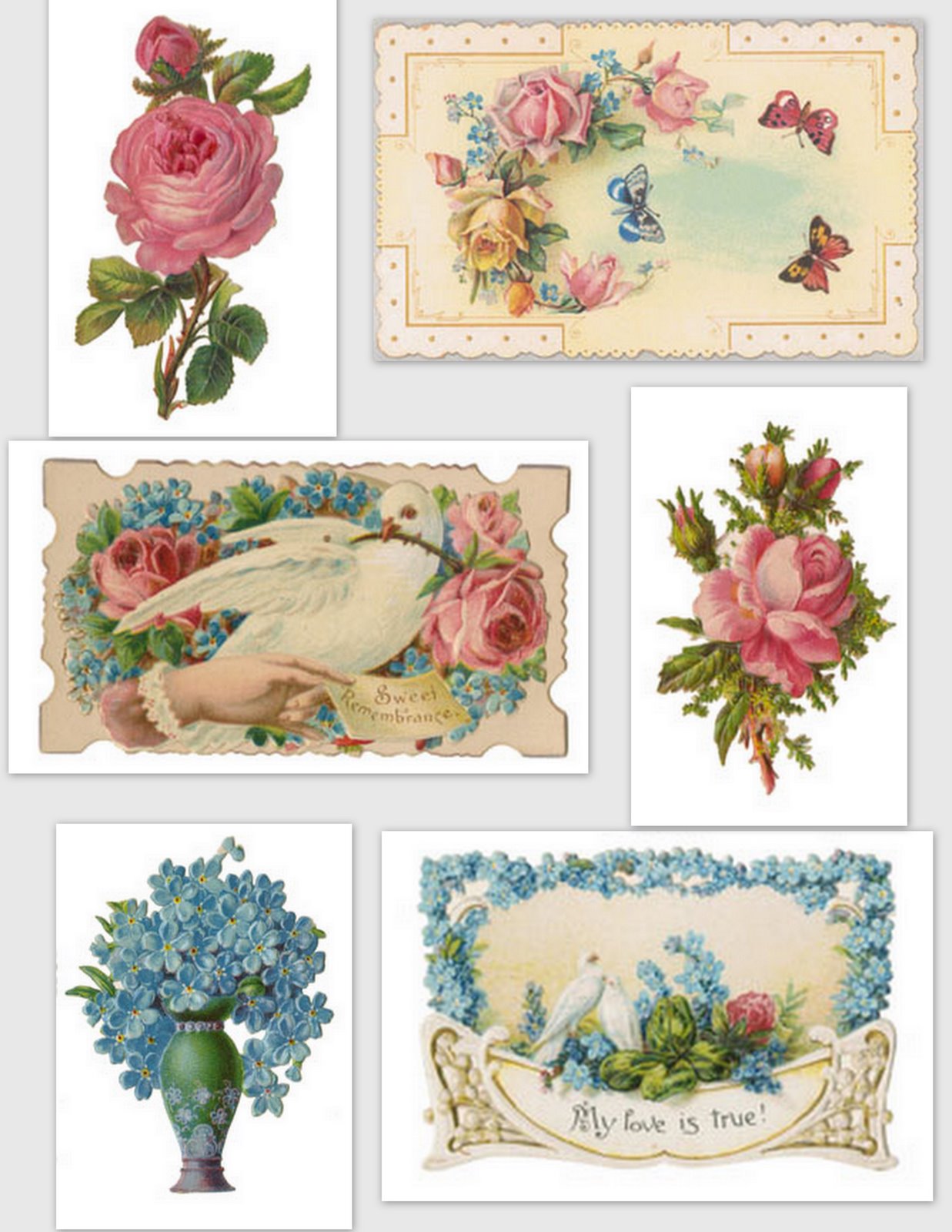 [~Butterflies+and+birds~4.jpg]