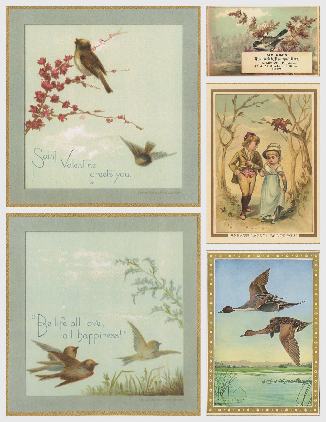 [~Butterflies+and+birds~3.jpg]