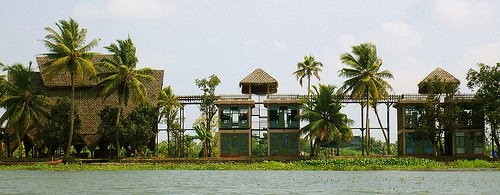 Best view island Resort,alleppey