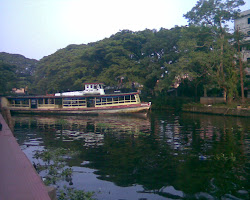 Local Ferry