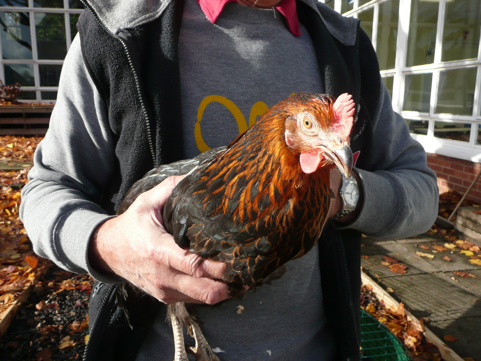 Miss Pepperpot Chicken