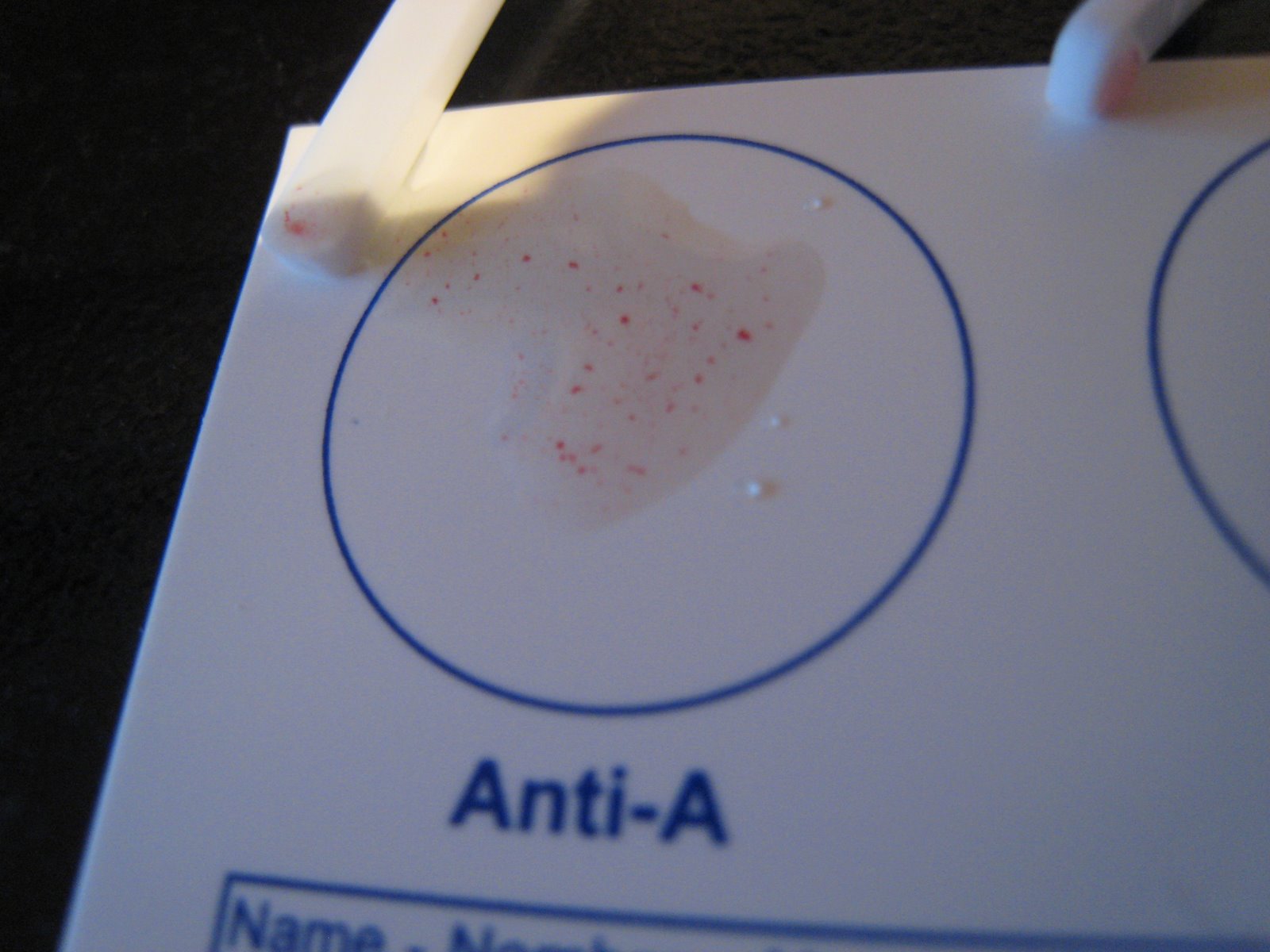 [January+2007+162.jpg]