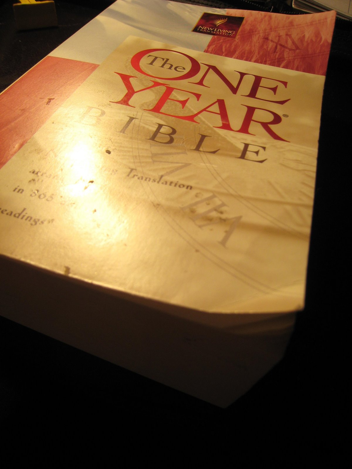 [January+2007+237.1.JPG]