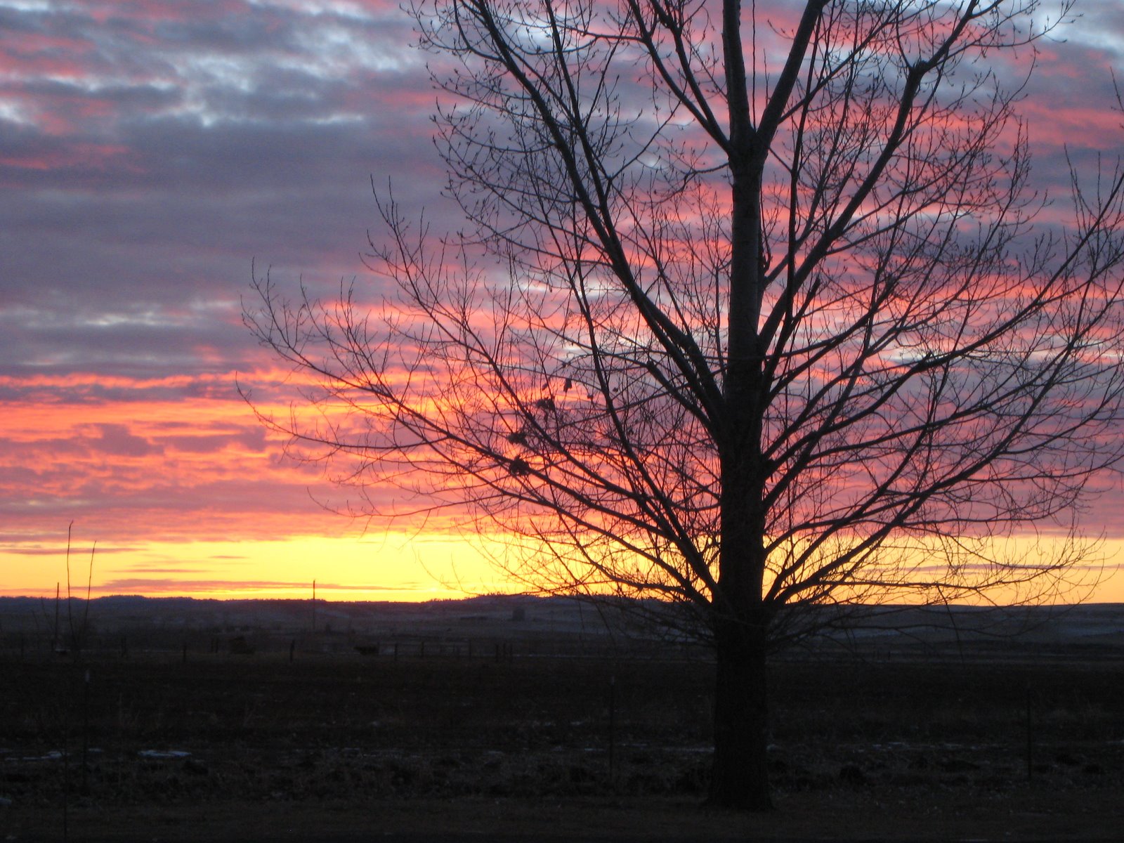 [January+2007+344.jpg]